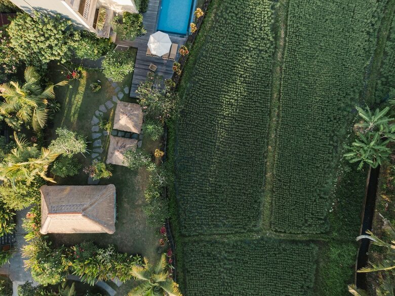 Hotel Byasa Ubud