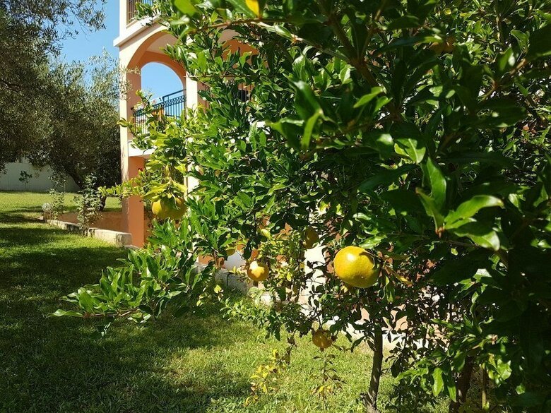 Aloni Hotel