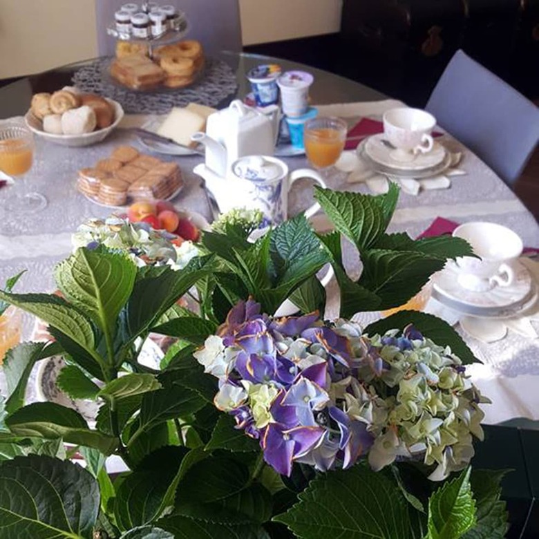 Le Flaneur Bed And Breakfast