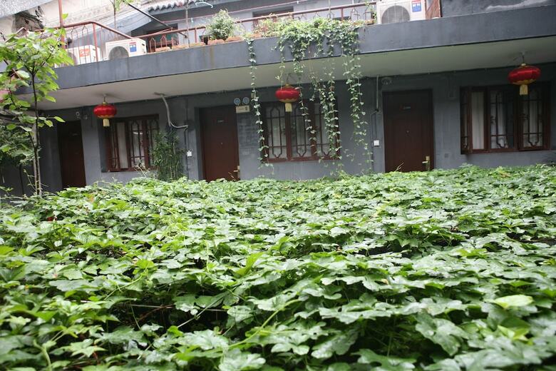Hostal Shuyuan Party Hostel