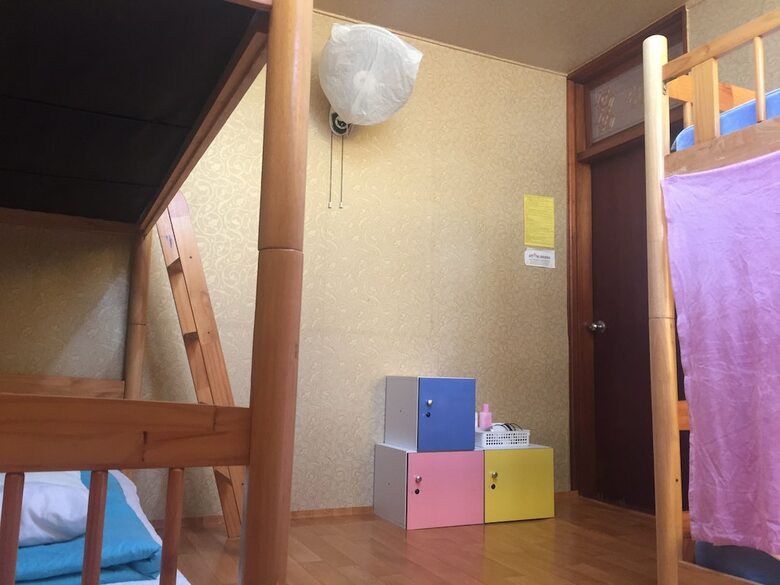Hostal Springflower Guesthouse - Hostel