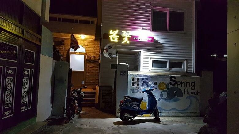 Hostal Springflower Guesthouse - Hostel