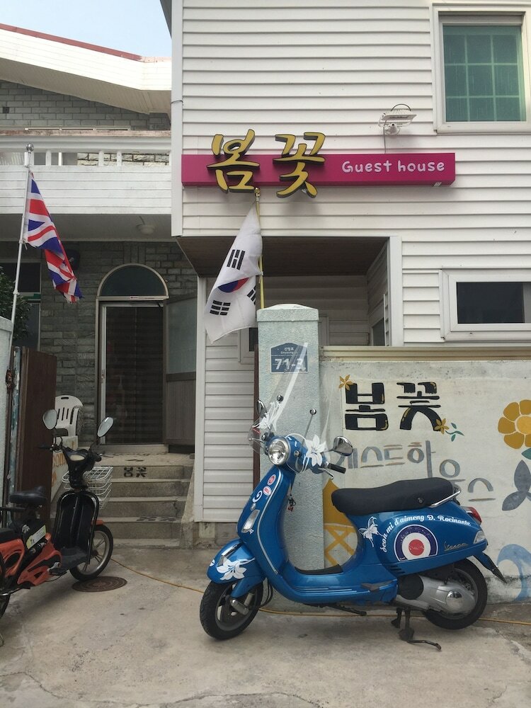Hostal Springflower Guesthouse - Hostel