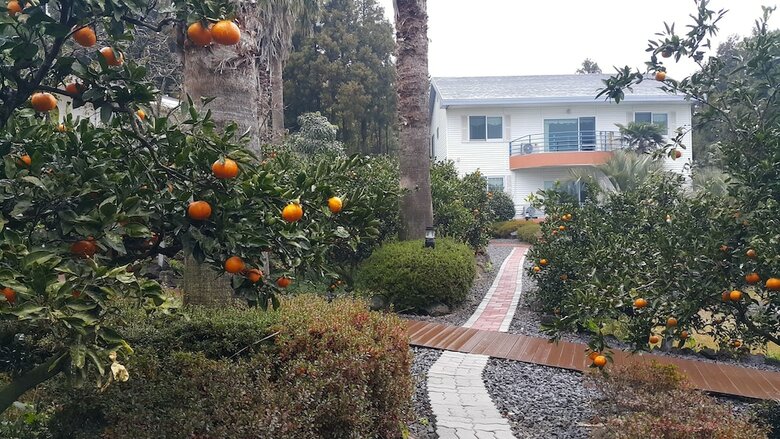 Jeju Casablanca