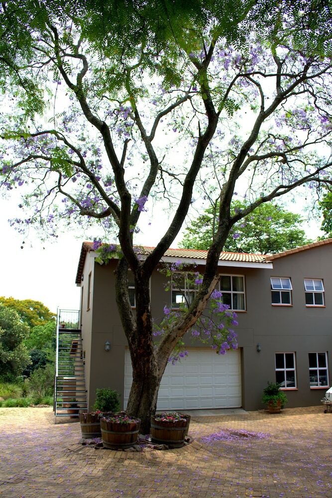 Apartamentos Wild Olive Executive Suite