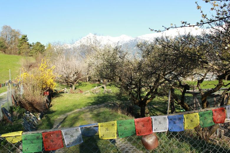 Bed & Breakfast Bellevie Bnb