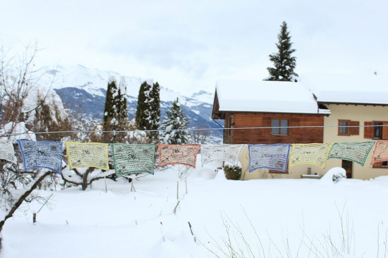 Bed & Breakfast Bellevie Bnb