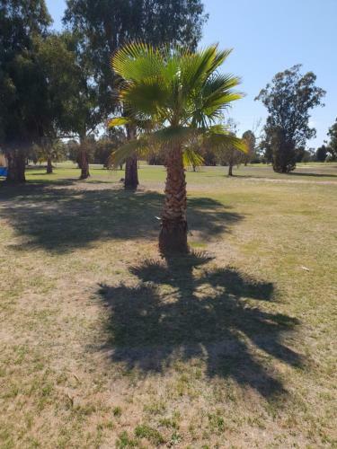 Barooga Golf View Motel