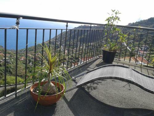 Madeira Aurelio Village