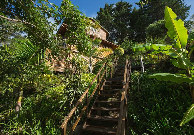 Big Tree House Lodge