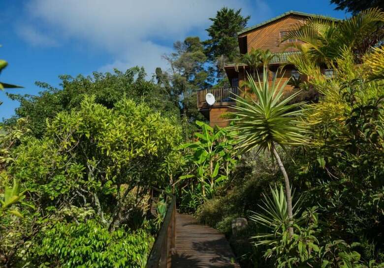 Big Tree House Lodge