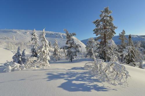 Fulufjellet
