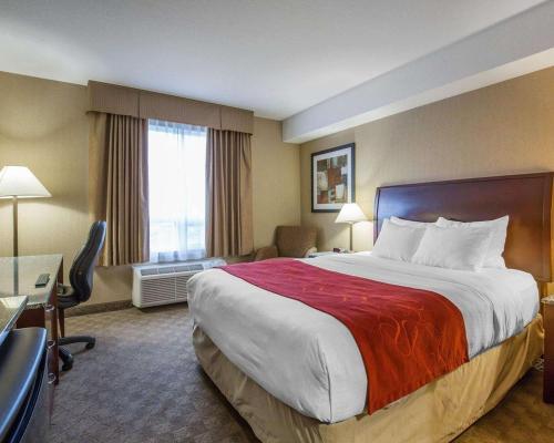 Motel Comfort Inn & Suites Airdrie
