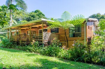 Bed & Breakfast Epiphyte B & B