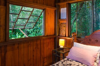 Bed & Breakfast Epiphyte B & B