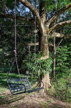 Bed & Breakfast Epiphyte B & B