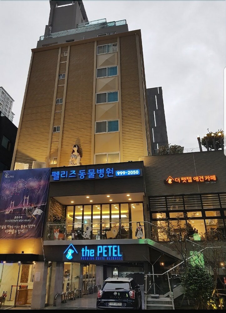 Hotel Sleep With Your Own Pet Only - The Petel
