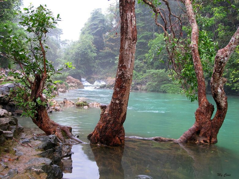 Jeanne Hotel