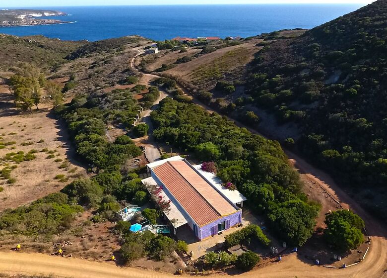 Poecylia Resort