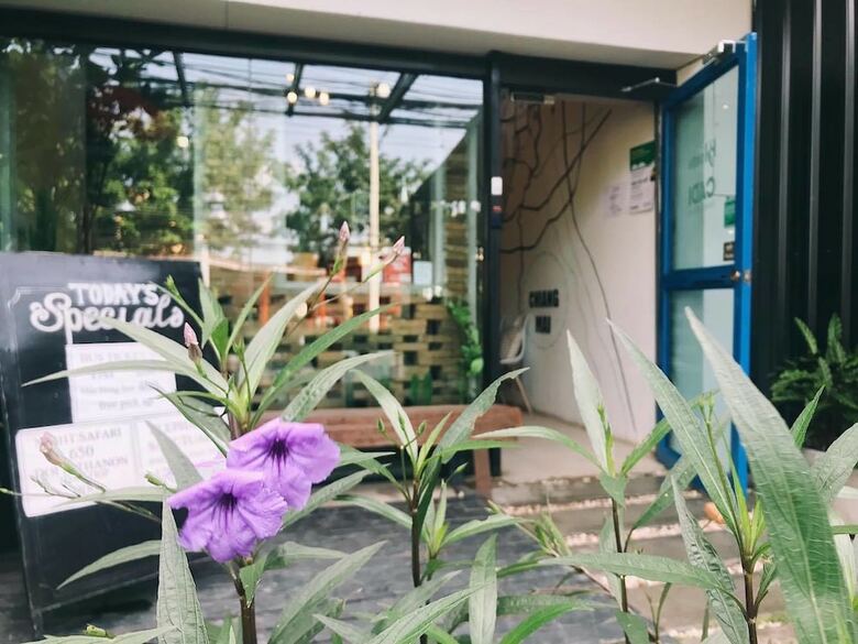 Hostal The Bloom Hostel