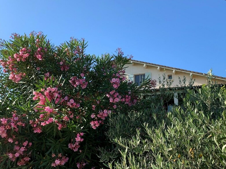 Bed & Breakfast Mas Saint-ange