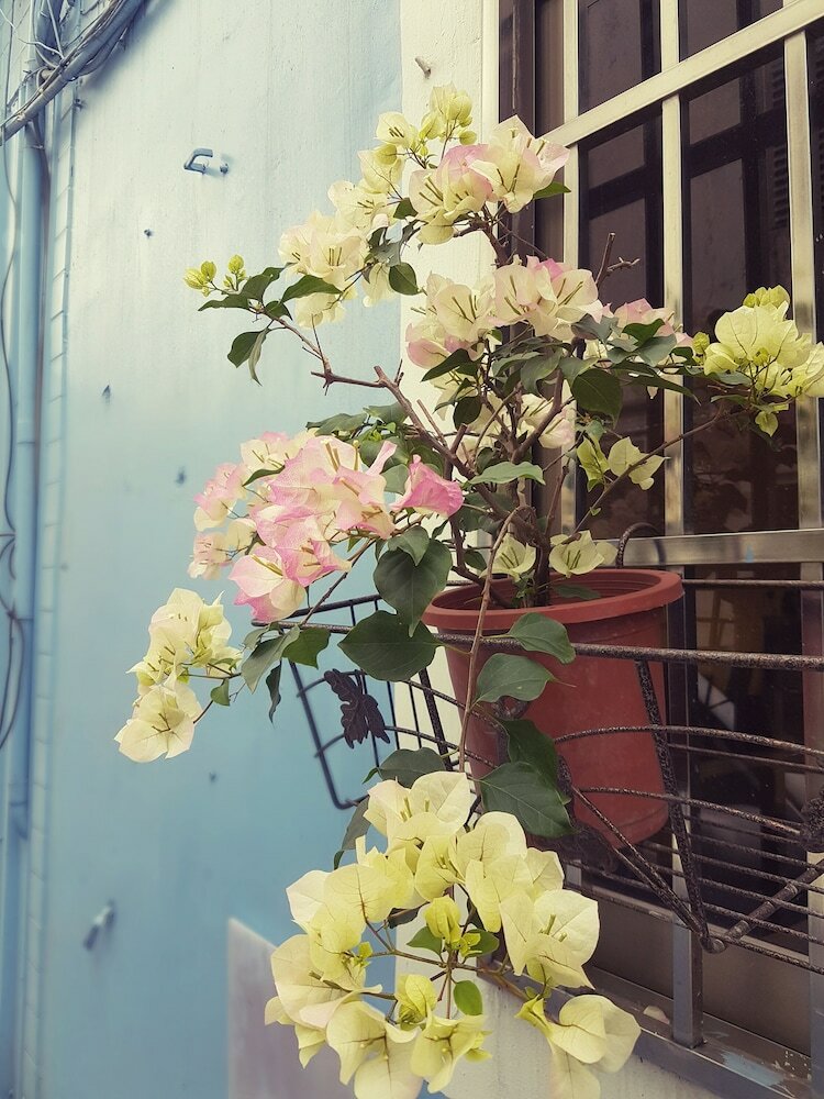 Bed & Breakfast Wuju Wusu Homestay