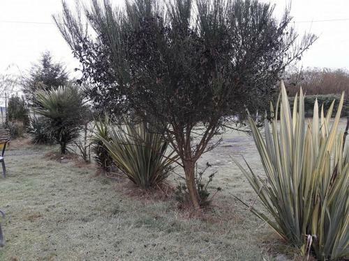 Caba�as Guarida Del Trauco