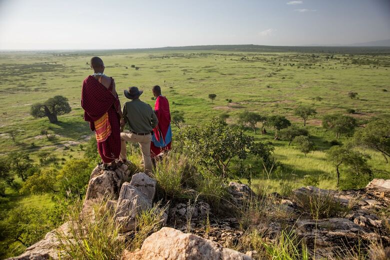 Elewana Tarangire Treetops