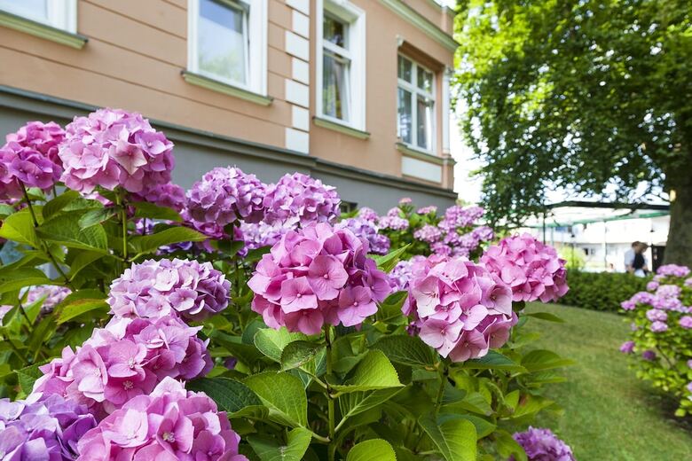 Ostseehotel Villen Im Park ? Ein Rovell Hotel