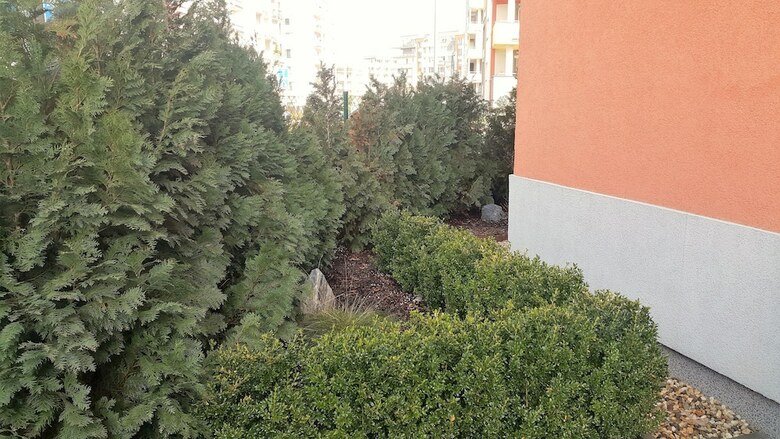 Apartamentos Bastien Studio Near Airport