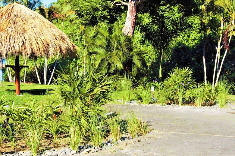 Hotel Costa Rica Surf Camp By Superbrand