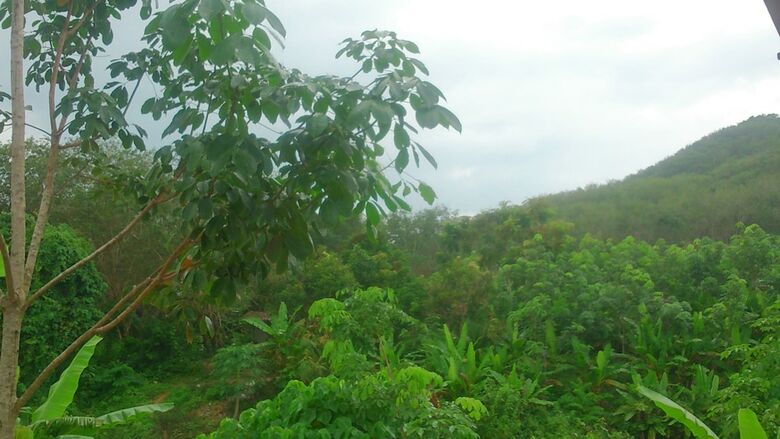 Hotel Phusambig Resort