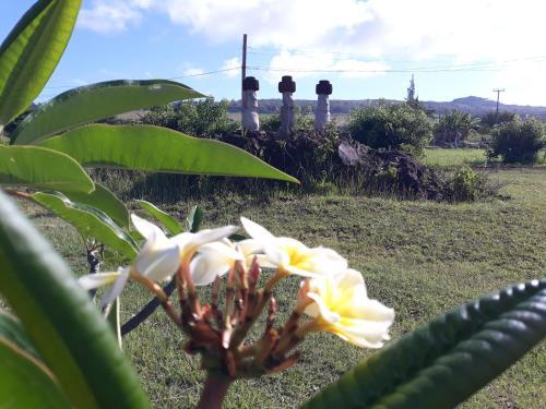 Lodge Caba�as Maheva Rapanui