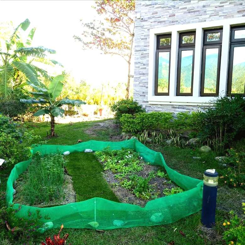 Snail B&B