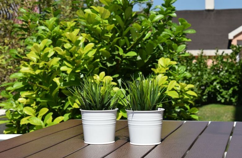 Apartments Roses