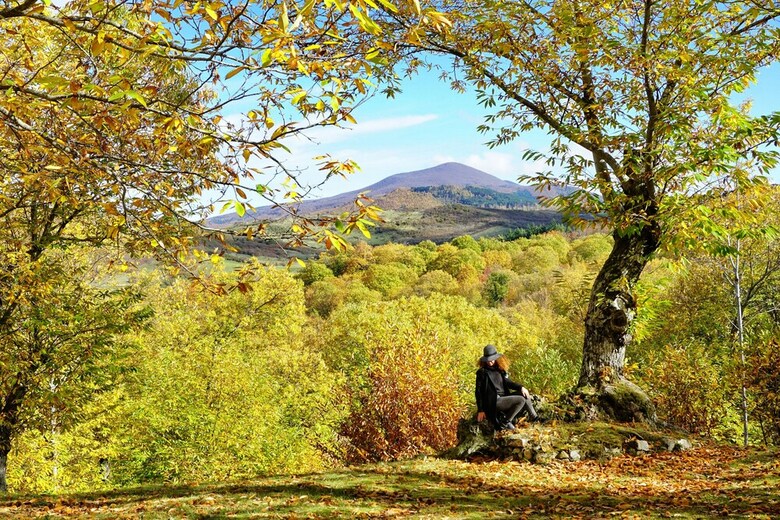 Agroturismo Agriturismo Bio I Rondinelli