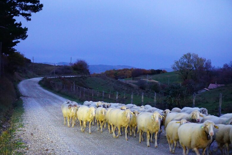 Agroturismo Agriturismo Bio I Rondinelli