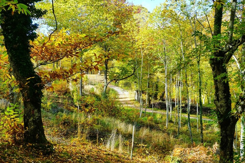 Agroturismo Agriturismo Bio I Rondinelli