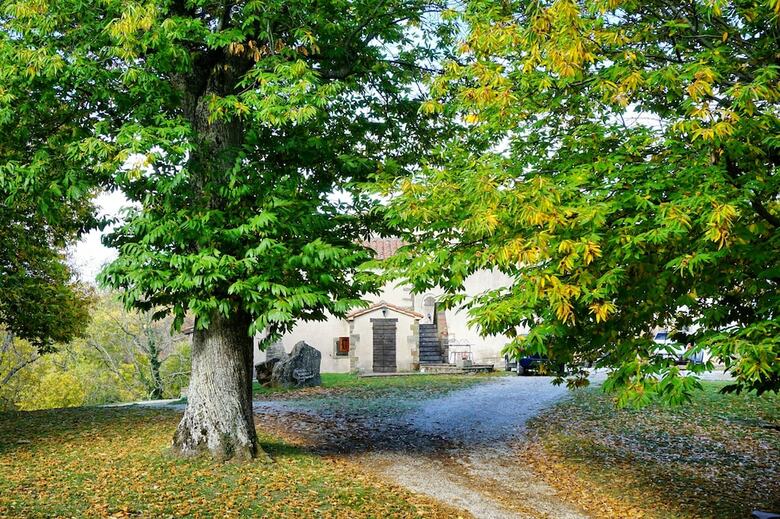 Agroturismo Agriturismo Bio I Rondinelli