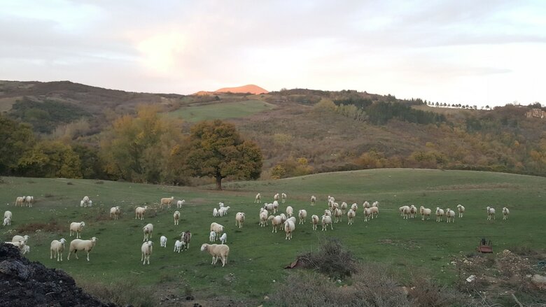 Agroturismo Agriturismo Bio I Rondinelli