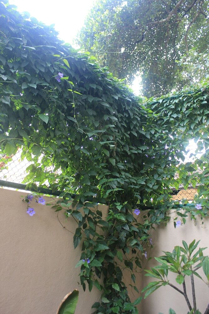 Hotel Atelier Kandy