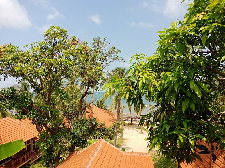 Hotel Mango Beach Resort