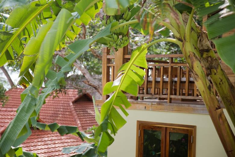 Hotel Mango Beach Resort