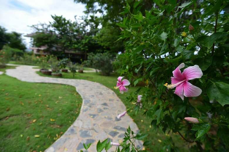 Hotel Rose Villa Resort