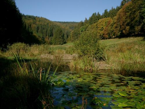 Hostal Hotel-pension Haus Erna