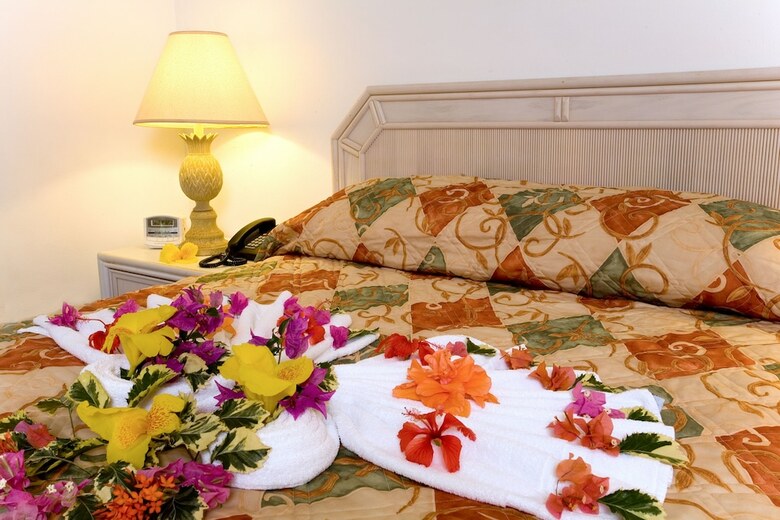 The Ginger Lily Hotel