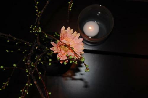 Hotell Spelab�cken