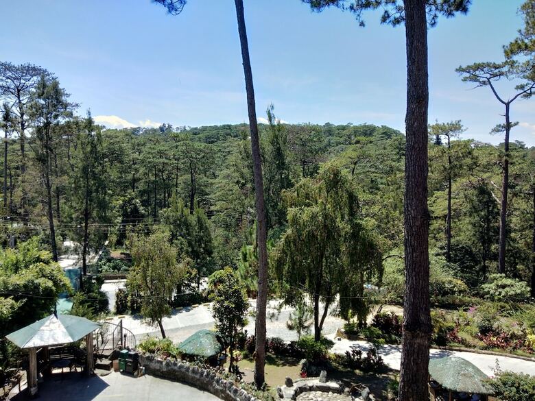 Safari Lodge Baguio By Log Cabin Hotel