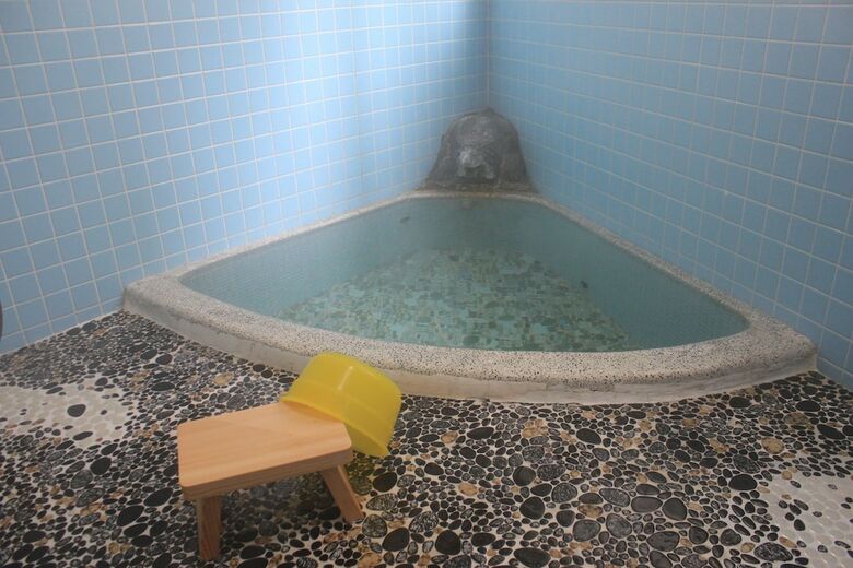 Bed & Breakfast Nozawa Dream