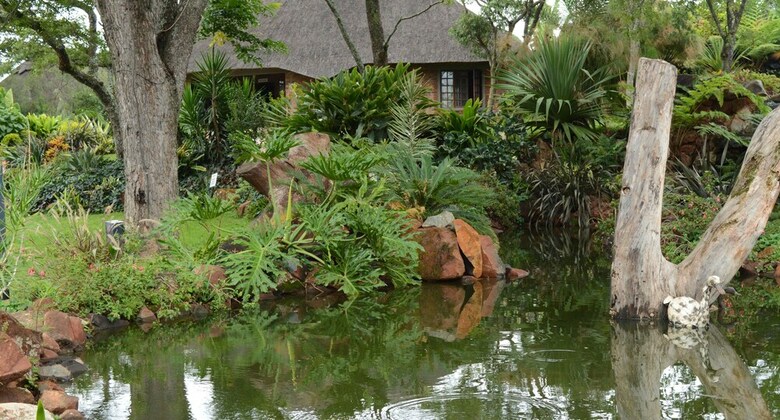 Posada Manna Resorts